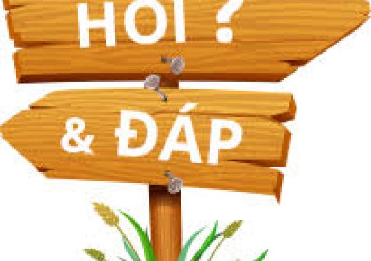 CÁCH NÀO CẢI TẠO AO NUÔI NHIỄM PHÈN?