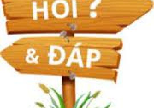 LÀM THẾ NÀO ĐỂ XỬ LÝ NẤM ĐỒNG TIỀN HIỆU QUẢ TRONG AO TÔM?