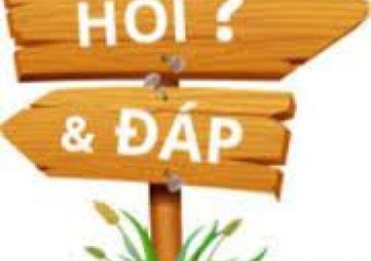 ÔM NUÔI GẦN 2 THÁNG, QUAN SÁT THẤY MANG TÔM BIẾN ĐEN HOẶC BIẾN MÀU NÂU, CÁC CHÂN NGỰC VÀ CHÂN BƠI C