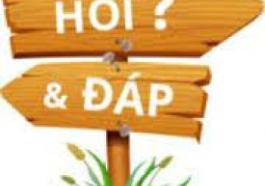 TÔM NUÔI GẦN 2 THÁNG, QUAN SÁT THẤY MANG TÔM BIẾN ĐEN HOẶC BIẾN MÀU NÂU, CÁC CHÂN NGỰC VÀ CHÂN BƠI C
