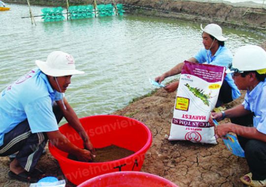 CHẤT DẪN DỤ, KÍCH THÍCH BẮT MỒI CHO TÔM