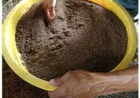 KHI NÀO THÌ BIẾT TÔM THẺ CHÂN TRẮNG SẮP LỘT. SỬ DỤNG KHOÁNG KHI TÔM LỘT NHƯ THẾ NÀO CHO HỢP LÝ