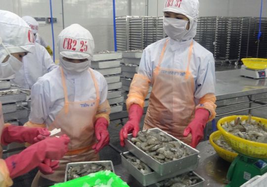 TRIỂN VỌNG THỊ TRƯỜNG EU
