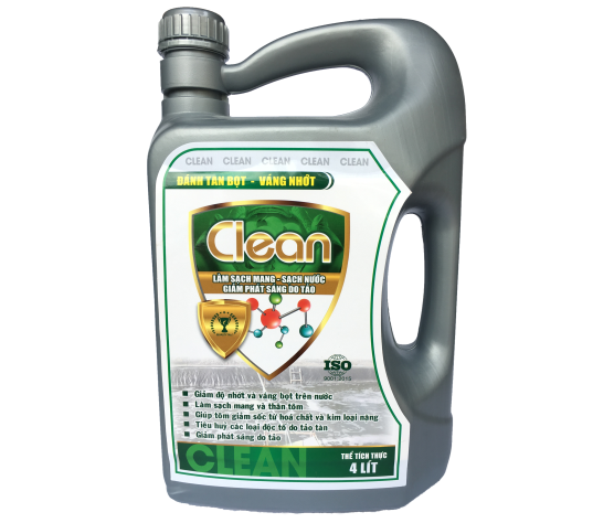 CLEAN