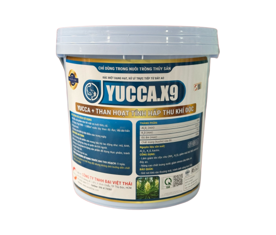 YUCCA.X9