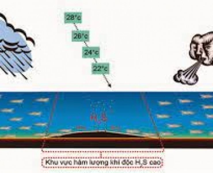 XỬ LÝ H2S TRONG AO NUÔI
