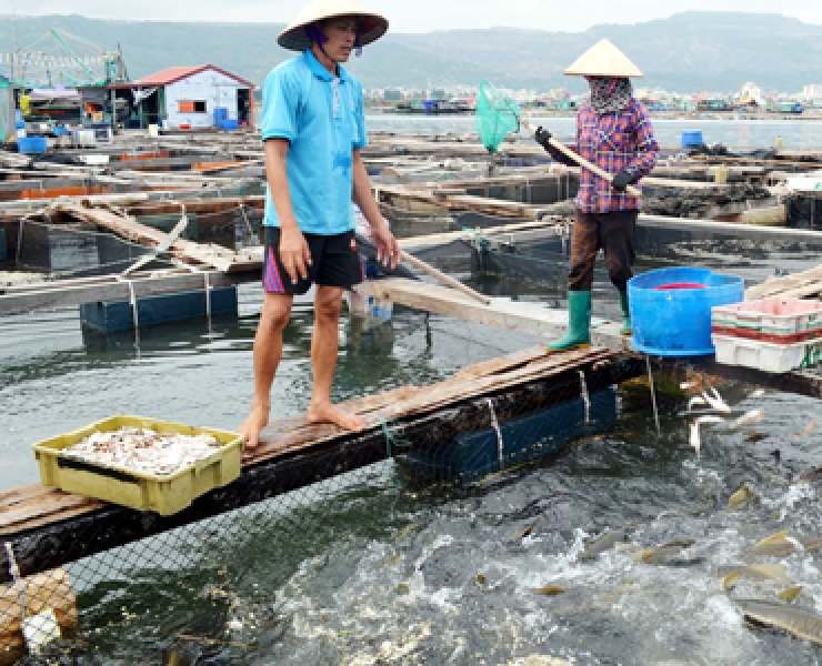RAF10: ĐỔI MỚI VỀ PHƯƠNG THỨC QUẢN LÝ THỨC ĂN VÀ SỬ DỤNG NGUYÊN LIỆU THỨC ĂN THỦY SẢN CHO NUÔI THỦY
