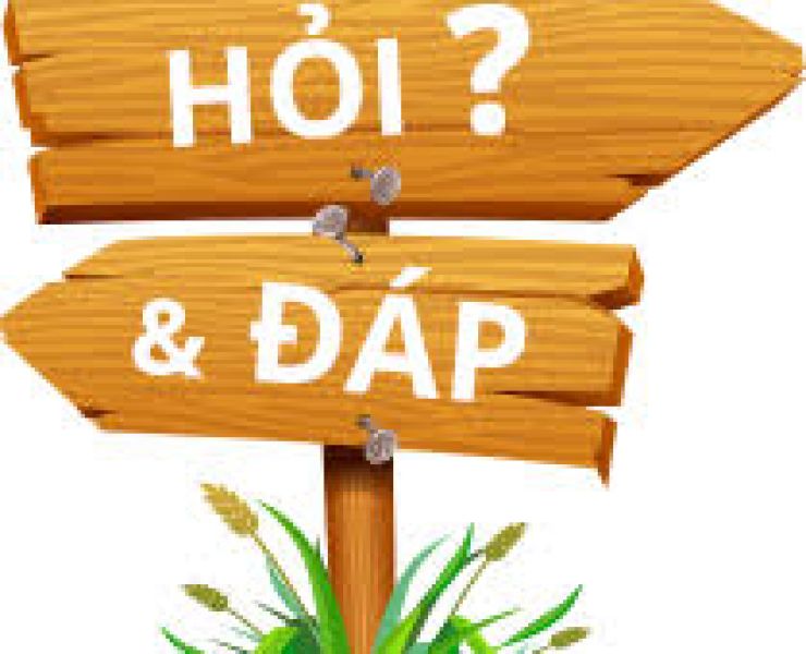 CÁCH NÀO CẢI TẠO AO NUÔI NHIỄM PHÈN?