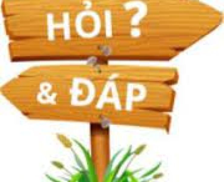 TÔI MUỐN TÌM HIỂU ĐỂ NUÔI TÔM TRONG AO TRÒN NỔI, CÓ THỂ CHO TÔI BIẾT NHỮNG ƯU ĐIỂM CỦA LOẠI AO NÀY S