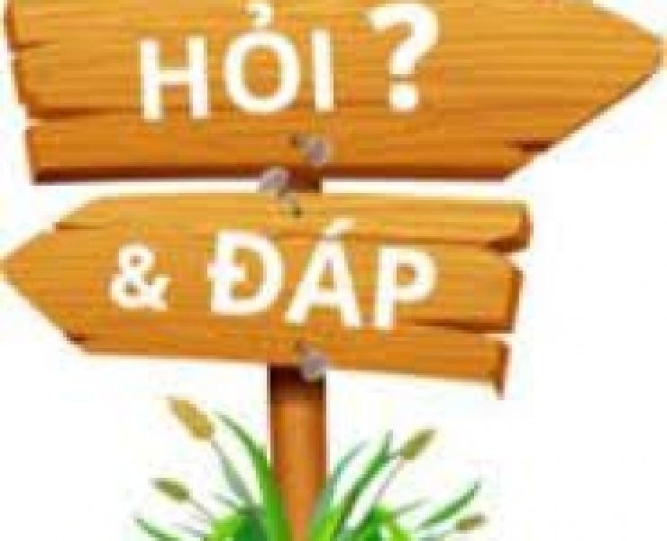 TÔM NUÔI GẦN 2 THÁNG, QUAN SÁT THẤY MANG TÔM BIẾN ĐEN HOẶC BIẾN MÀU NÂU, CÁC CHÂN NGỰC VÀ CHÂN BƠI C