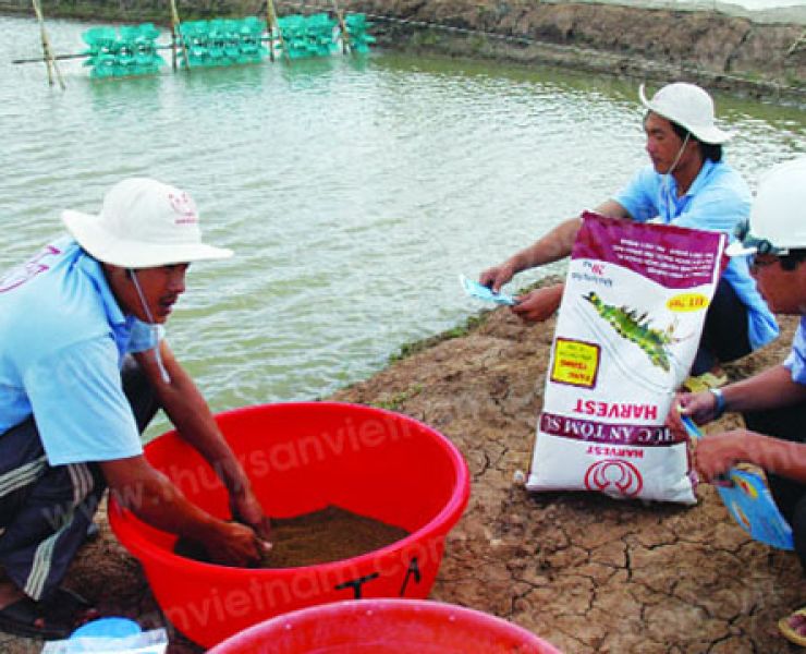 CHẤT DẪN DỤ, KÍCH THÍCH BẮT MỒI CHO TÔM