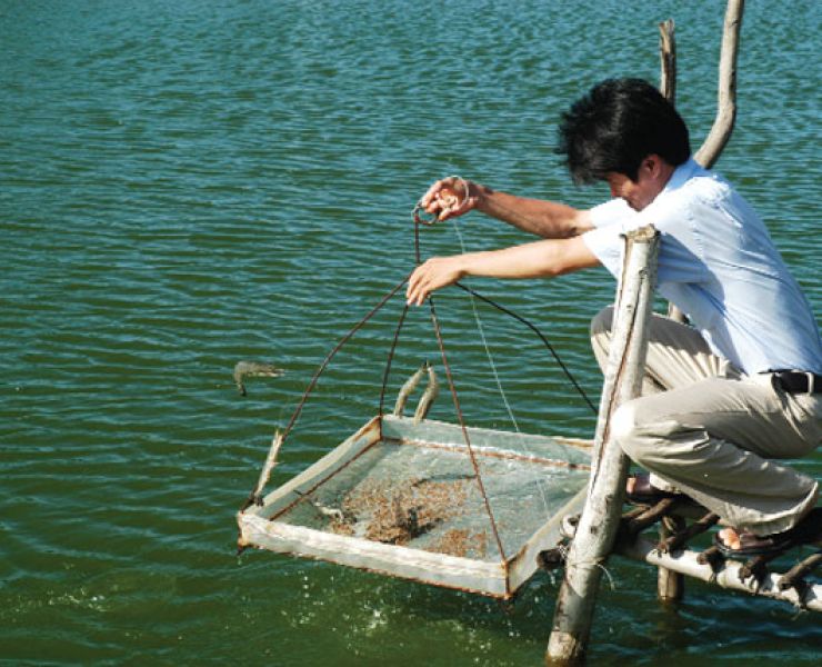 PHÒNG BỆNH CHO TÔM THỜI ĐIỂM GIAO MÙA
