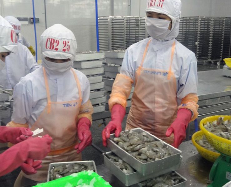 TRIỂN VỌNG THỊ TRƯỜNG EU