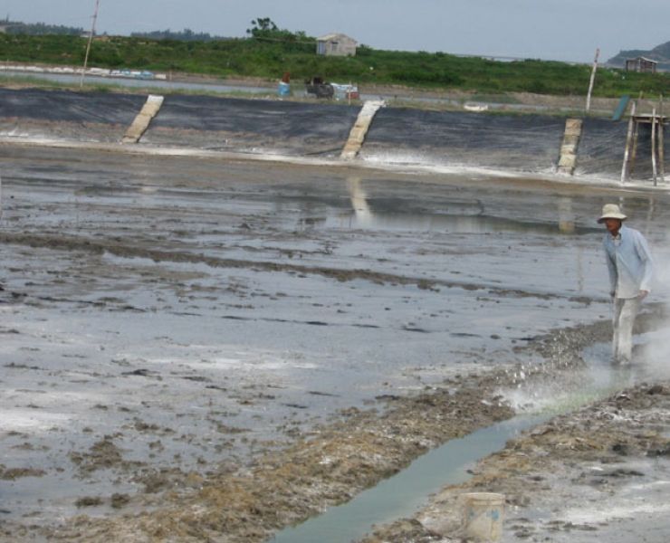 XỬ LÝ PHÈN TRONG AO NUÔI TÔM